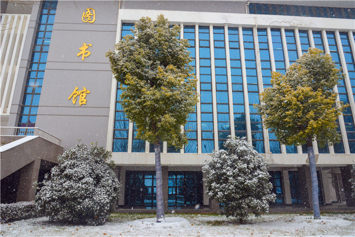 图书馆外一角