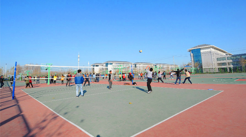 排球场