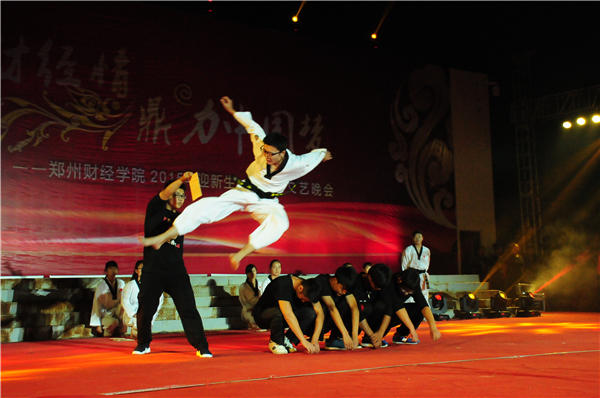 院精武社表演《武术套路》