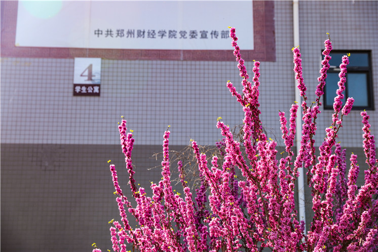 万紫千红总是春