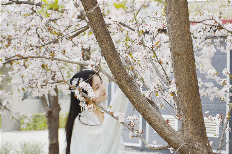 岸柳青青，莺飞草长